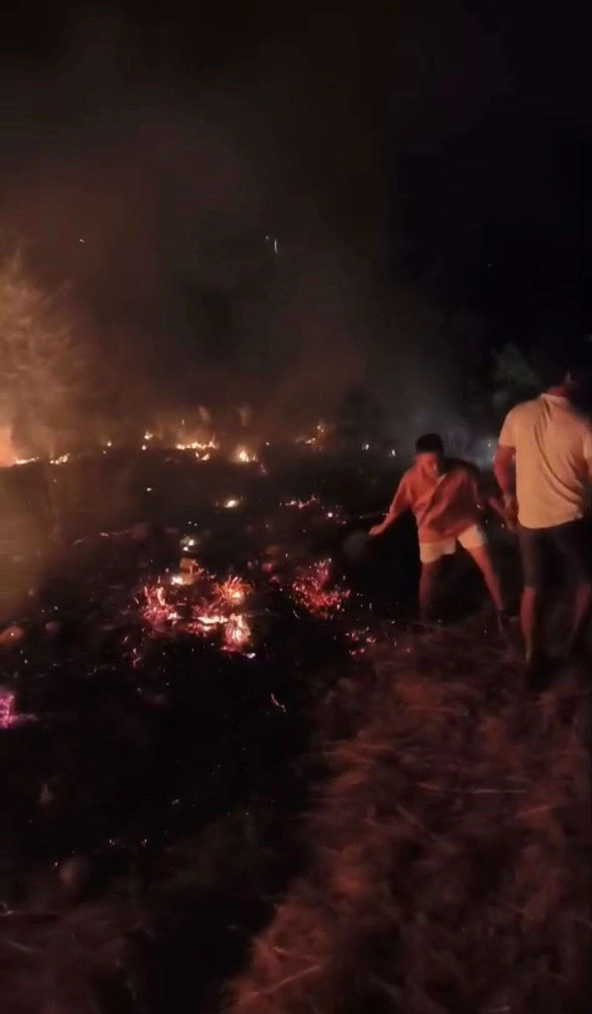 Milas’ta Gece Saatlerinde Arazi Yangını! Ekipler Seferber Oldu 3
